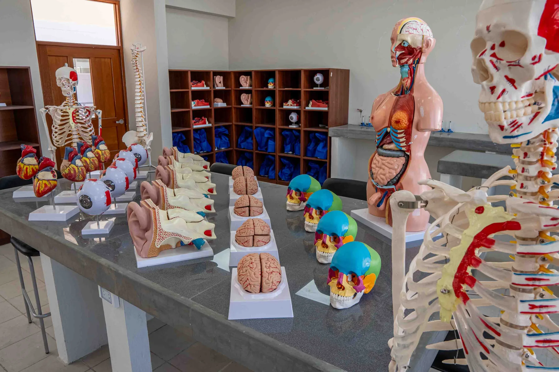 Lab biología